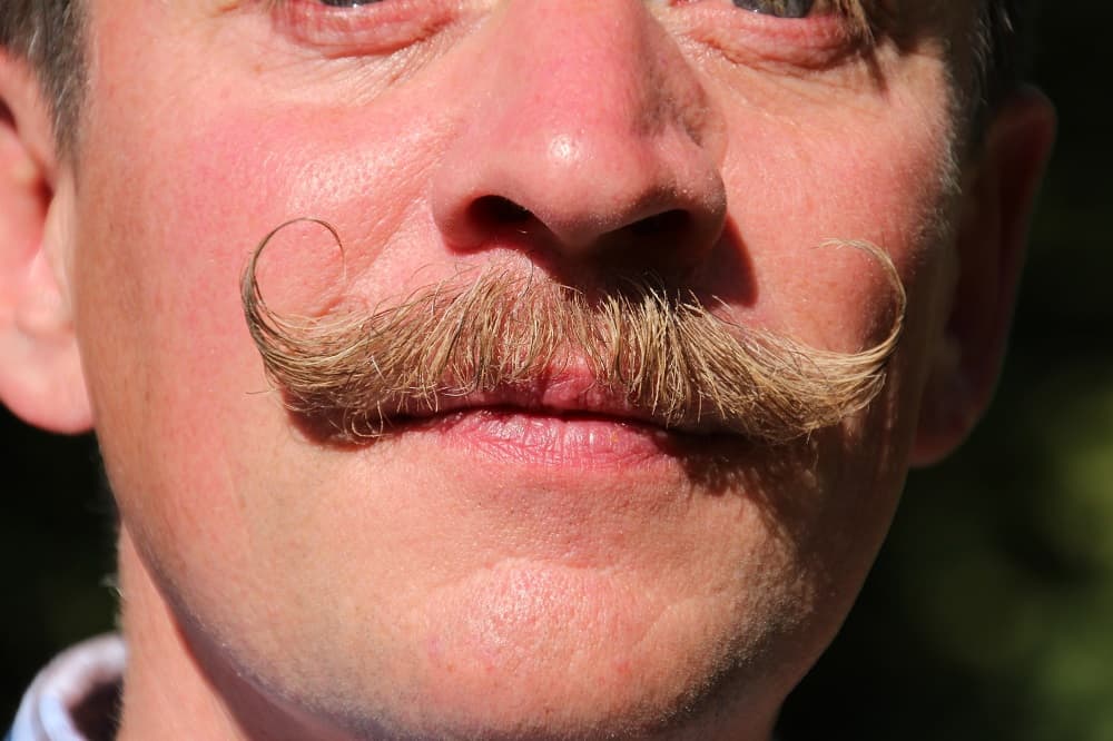 A randomly-sourced handlebar moustache image from Bing Image search.